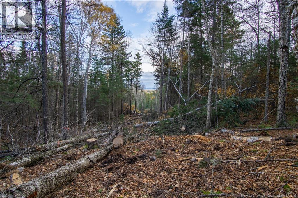 Land Chamcook Lake No 1 Road Property Photo 15