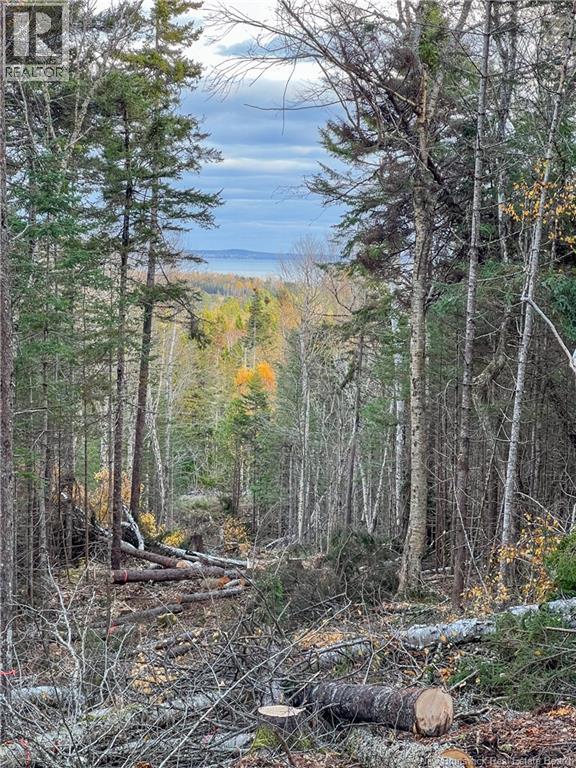 Land Chamcook Lake No 1 Road Property Photo 16