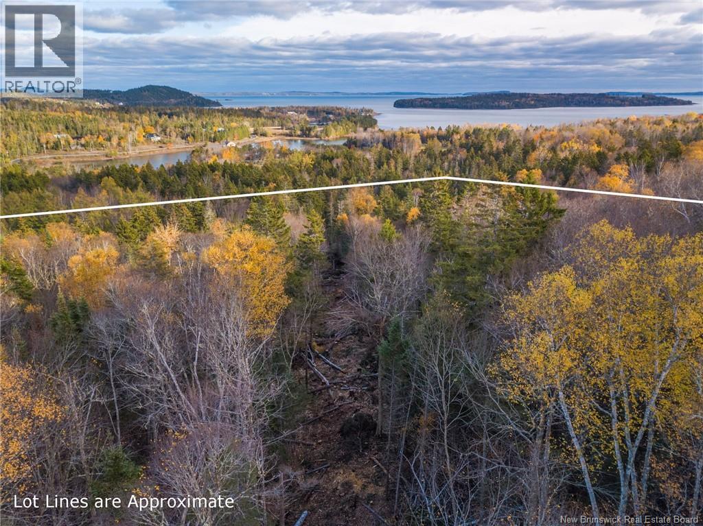 Land Chamcook Lake No 1 Road Property Photo 17