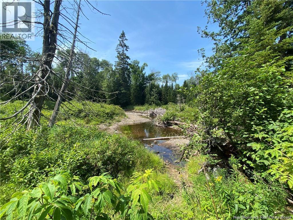 Land Archibald Road Property Photo 7