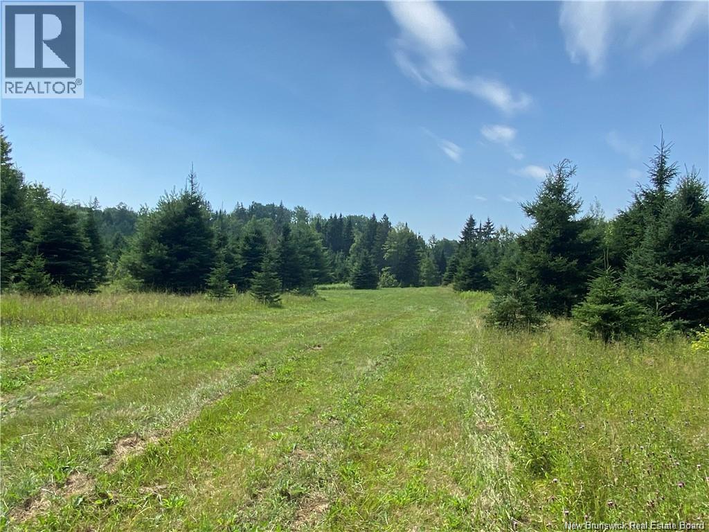 Land Archibald Road Property Photo 9