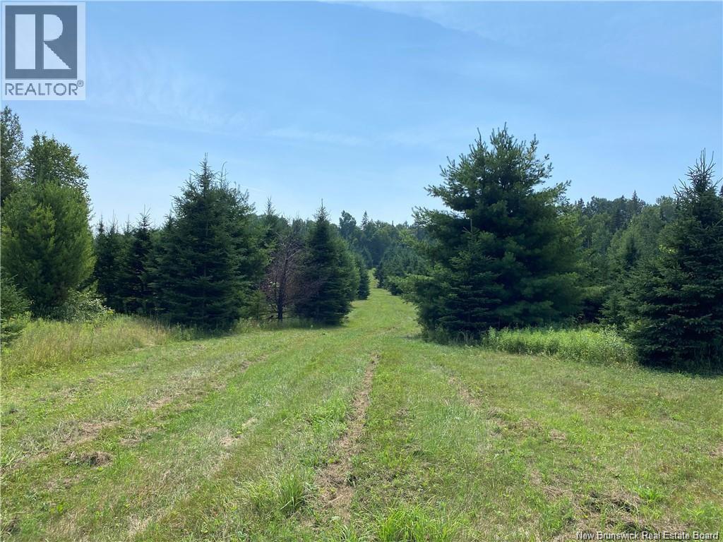 Land Archibald Road Property Photo 10