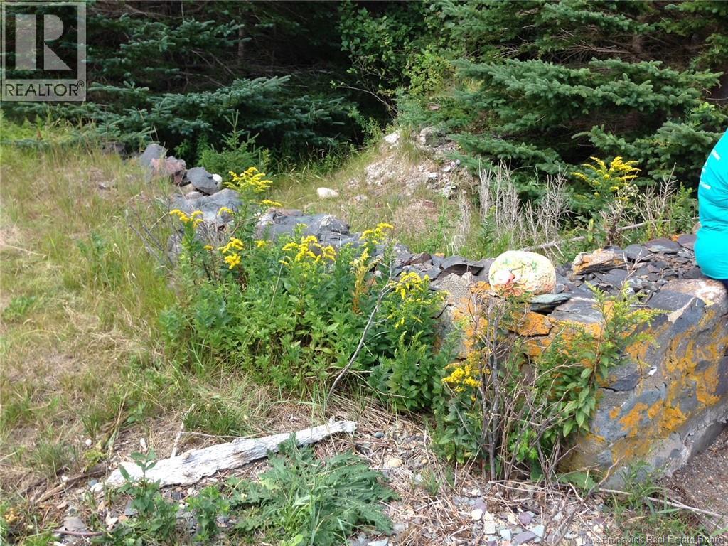39 Indian Island Property Photo 3