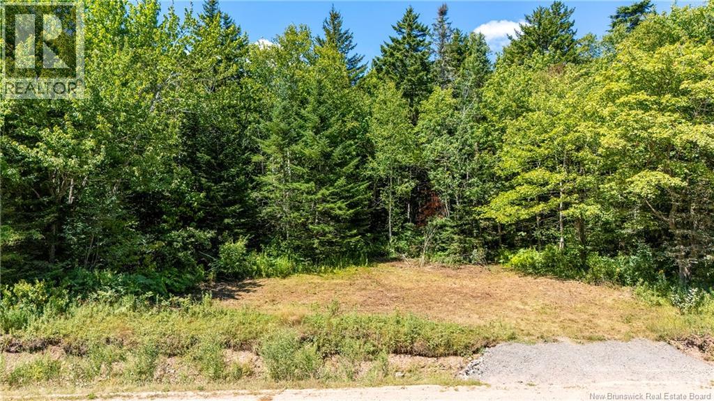 Woodlot Route 935
