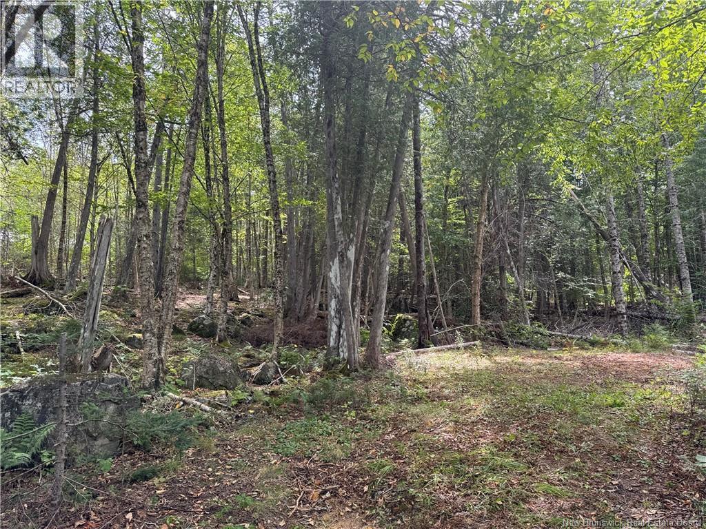 194 Upper Waweig Road Property Photo 2