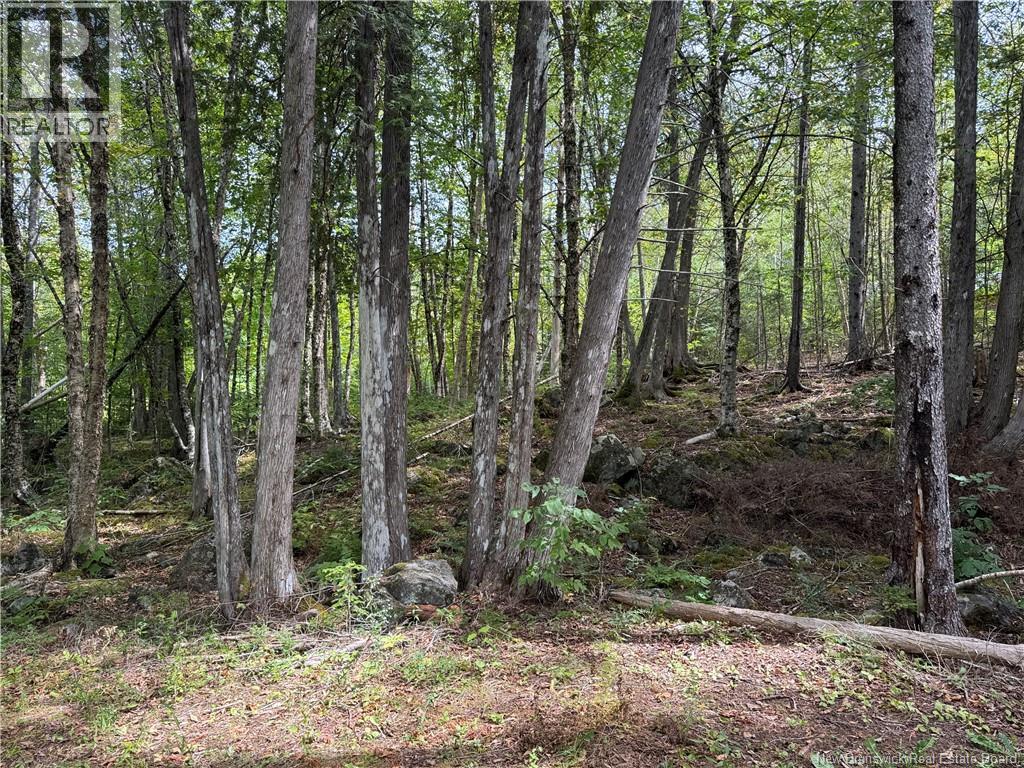 194 Upper Waweig Road Property Photo 3