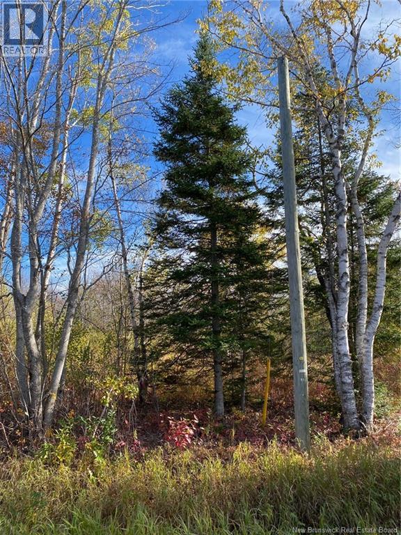 Lot Route 440 Property Photo 6