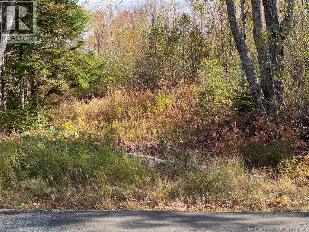Lot Route 440 Property Photo 7