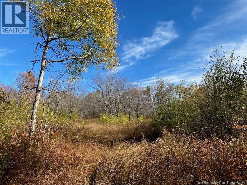 Lot Route 440 Property Photo 8