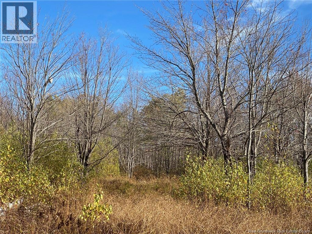 Lot Route 440 Property Photo 9