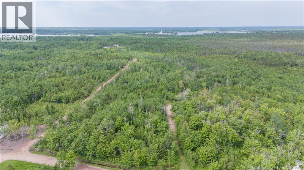 Lot 113 Route Property Photo 5