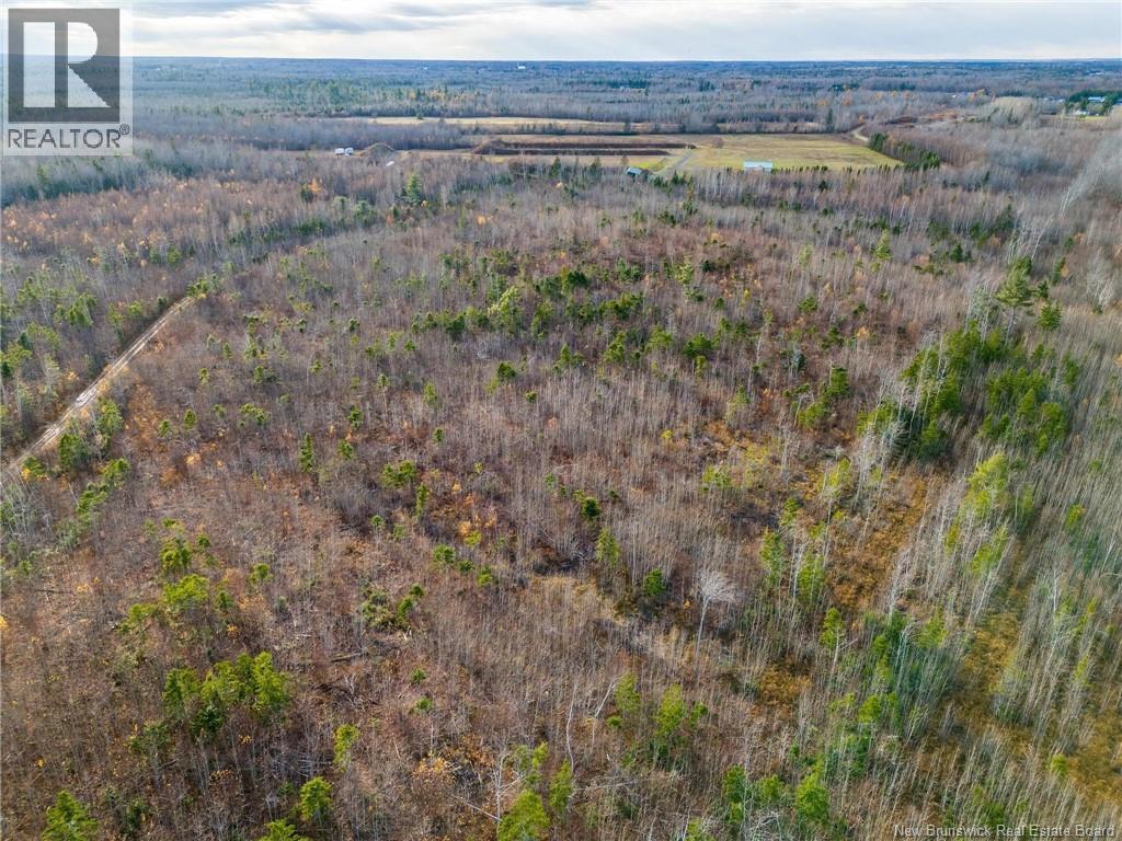 Lot Renauds Mills Road Property Photo 3