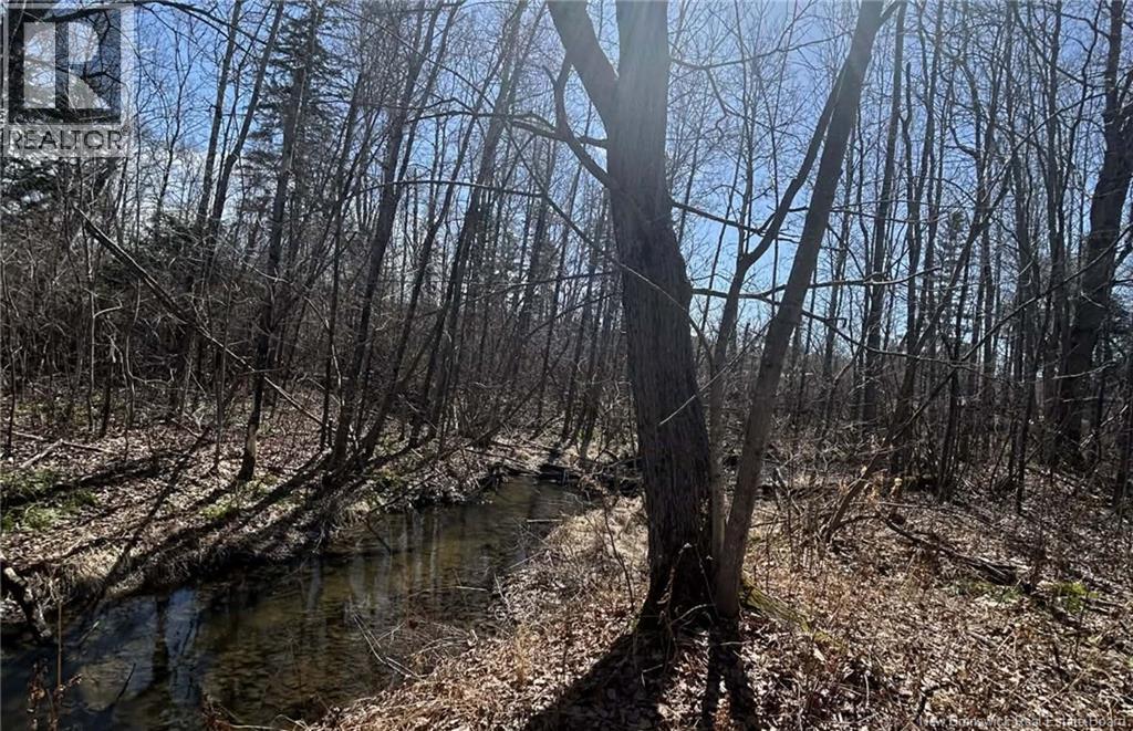 LOT Dr Hamilton Drive