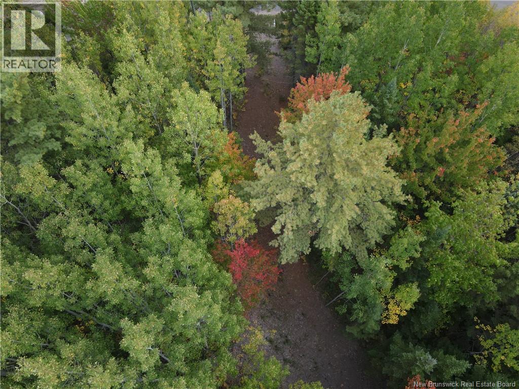 Lot Sunset View Lane Property Photo 9