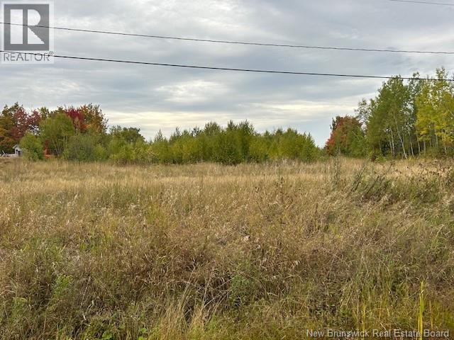 4076 Sormany Road Property Photo 2