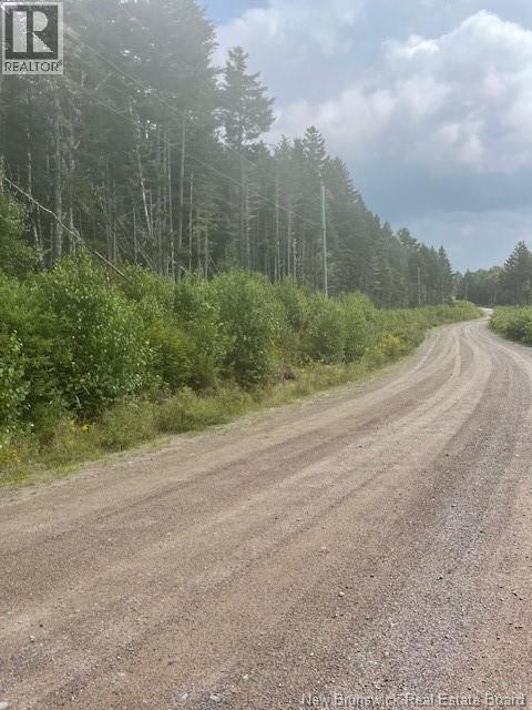 000 Maxwell Road Property Photo 3