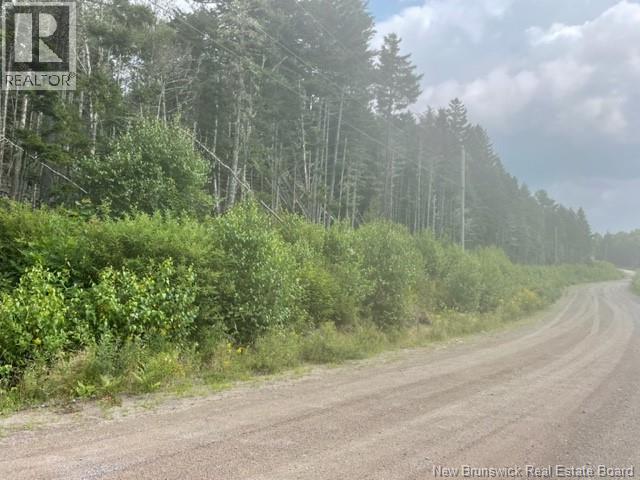 000 Maxwell Road Property Photo 4