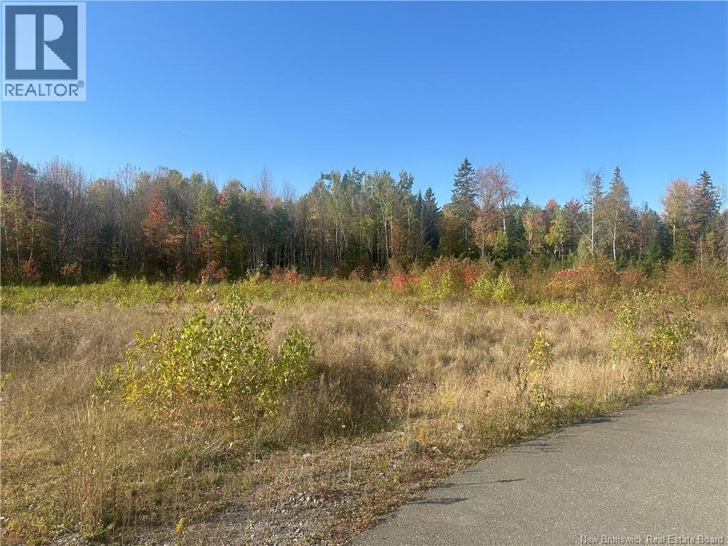 Lot 14-01 Crain Court Property Photo 2
