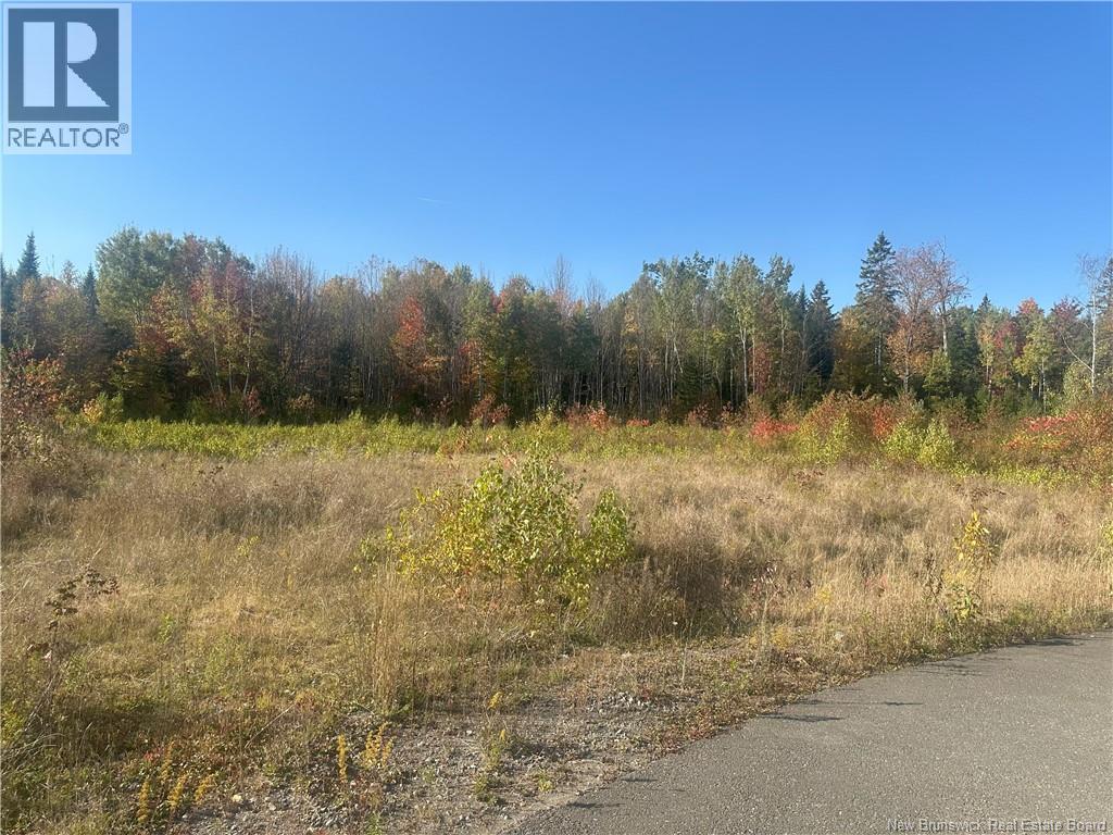 Lot 14-01 Crain Court Property Photo 3