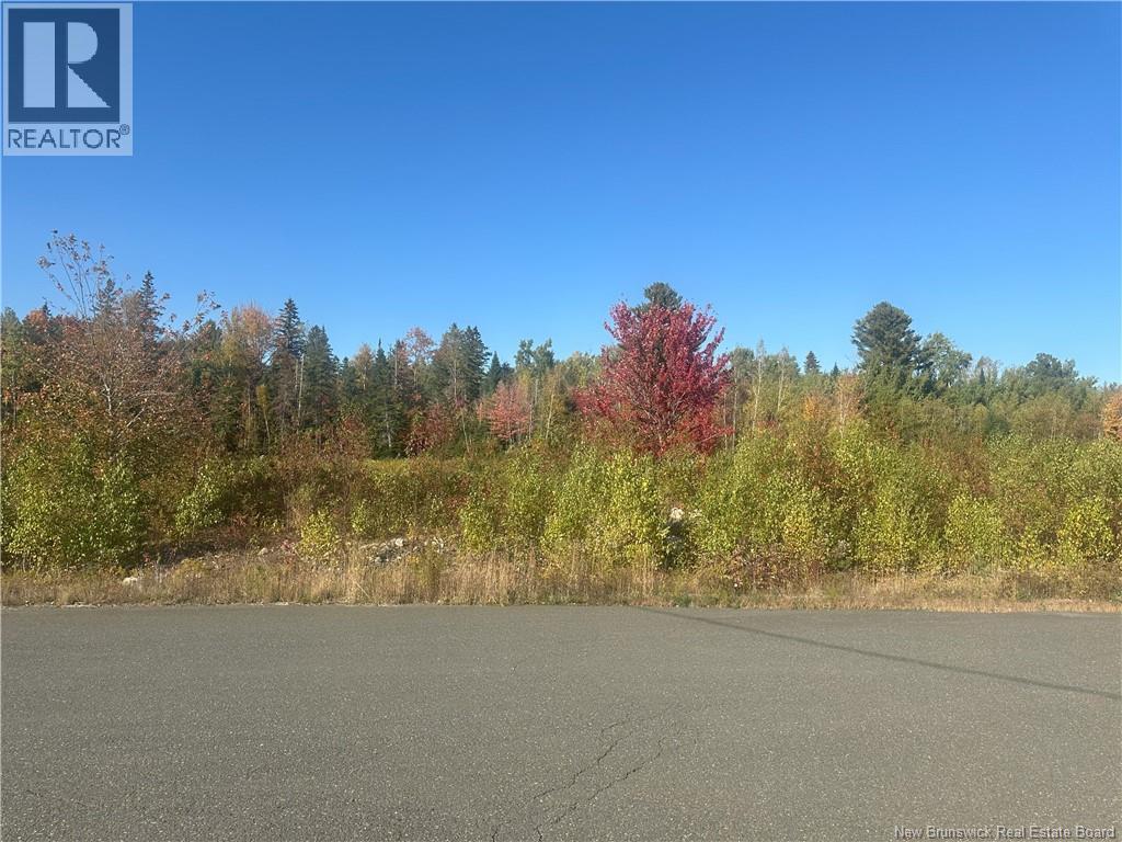 Lot 10-04 Crain Court Property Photo 2