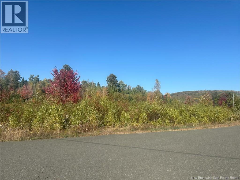 Lot 10-04 Crain Court Property Photo 3