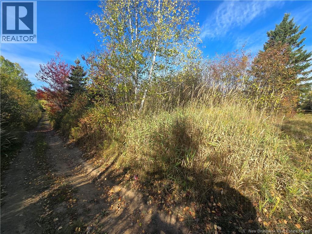 14.97 Acres Chemin Saulnier Ouest Property Photo 2
