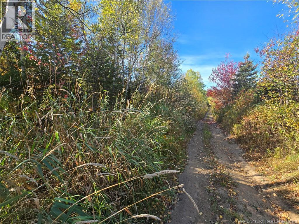 14.97 Acres Chemin Saulnier Ouest Property Photo 7