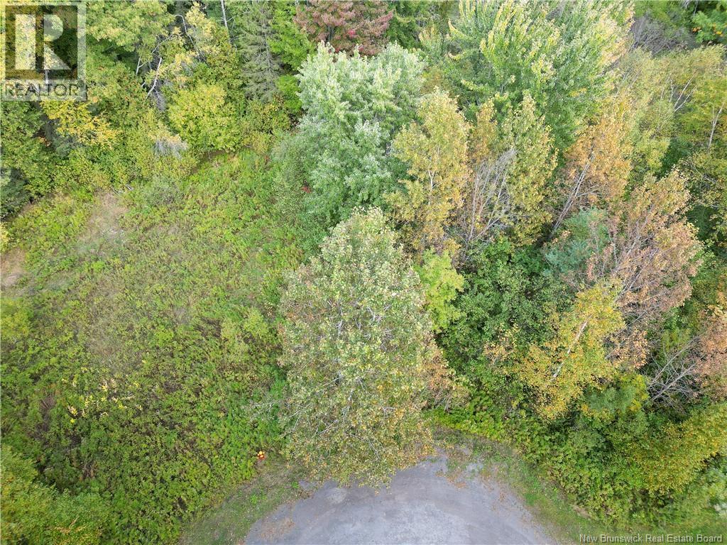 57-66 Hossack Street Property Photo 3