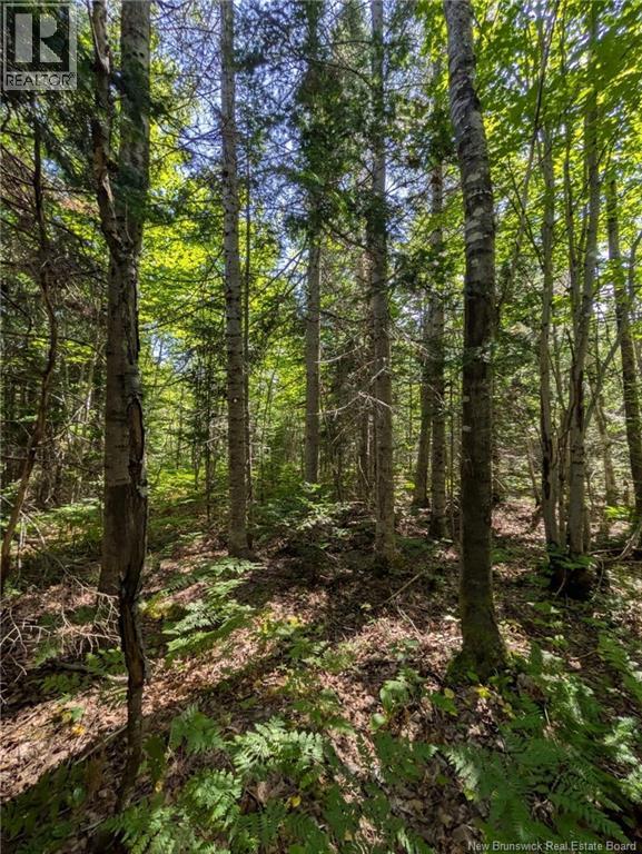 28 Acres Rue Des Fondateurs Property Photo 1