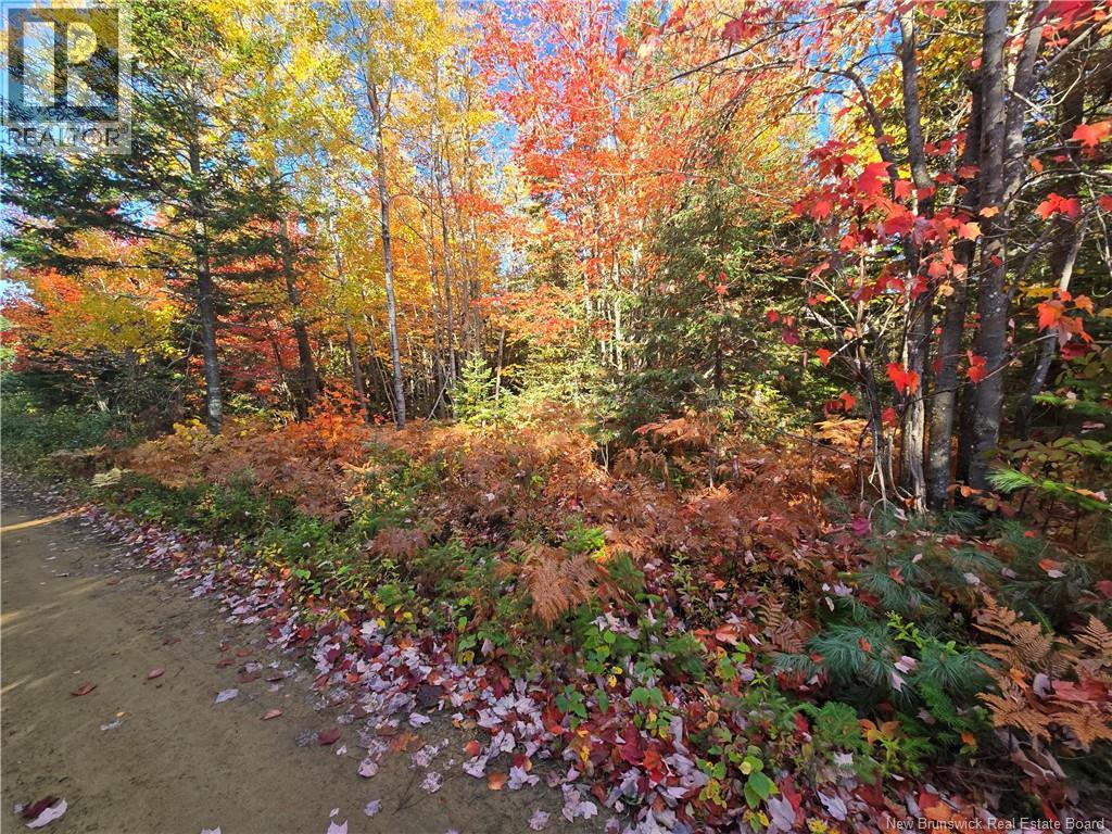 28 Acres Rue Des Fondateurs Property Photo 3
