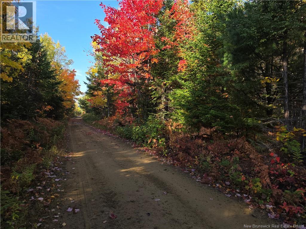 28 Acres Rue Des Fondateurs Property Photo 4