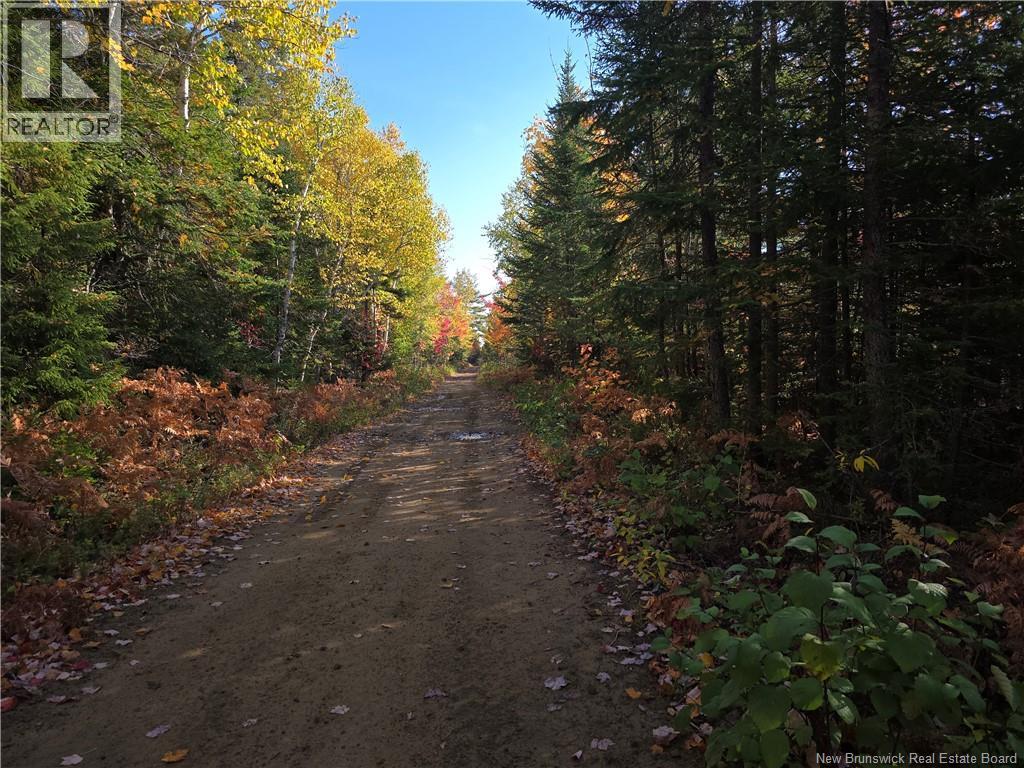 28 Acres Rue Des Fondateurs Property Photo 5