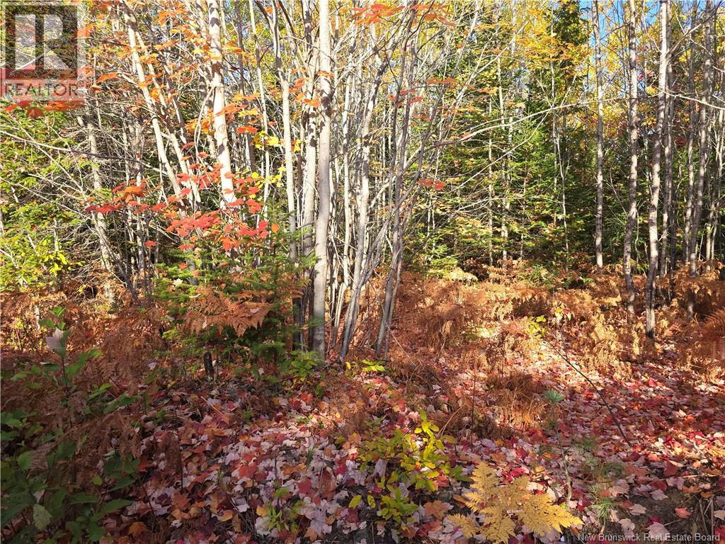 28 Acres Rue Des Fondateurs Property Photo 6