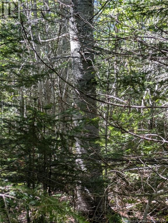 28 Acres Rue Des Fondateurs Property Photo 9