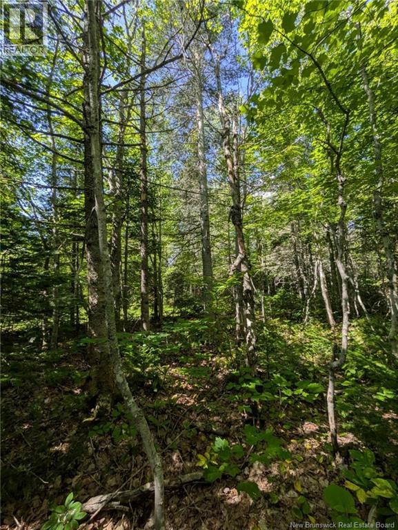 28 Acres Rue Des Fondateurs Property Photo 10