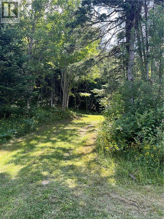 241 Route 107 Property Photo 7