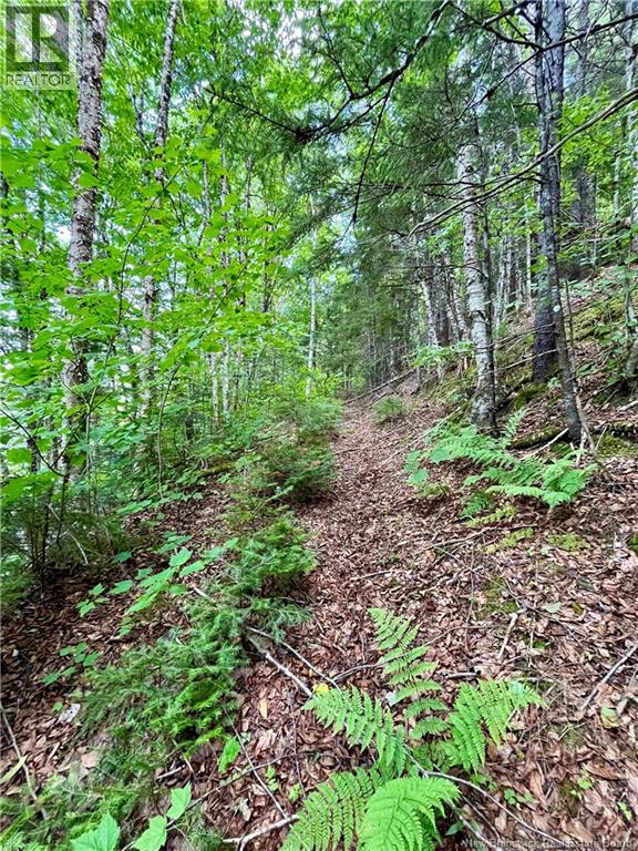241 Route 107 Property Photo 10