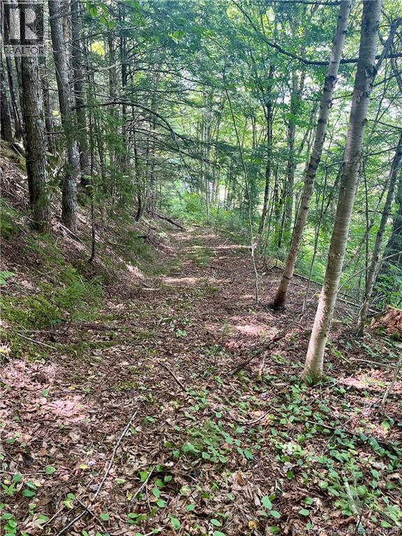 241 Route 107 Property Photo 11