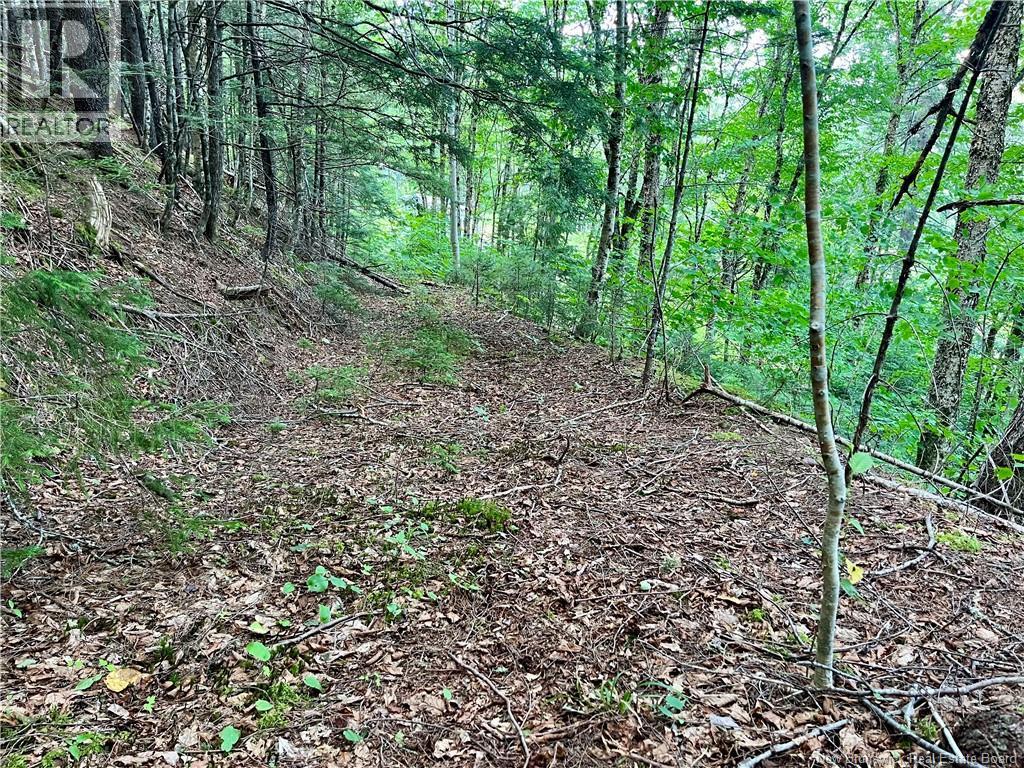 241 Route 107 Property Photo 12