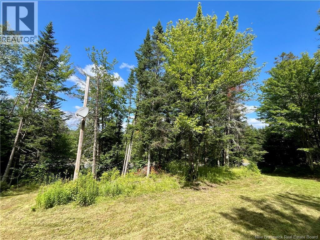 241 Route 107 Property Photo 13