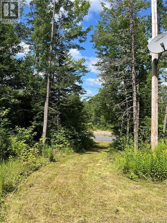 241 Route 107 Property Photo 17
