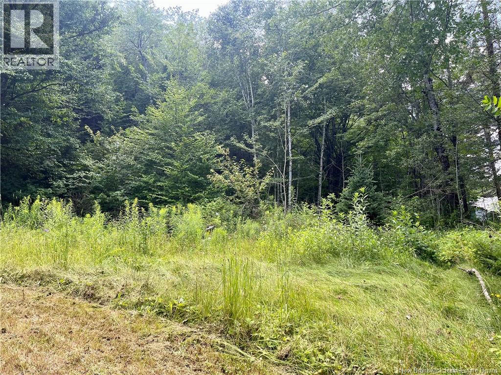 241 Route 107 Property Photo 18