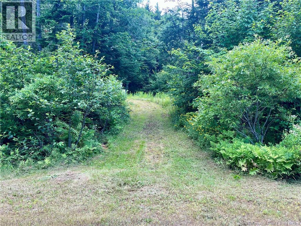 241 Route 107 Property Photo 19