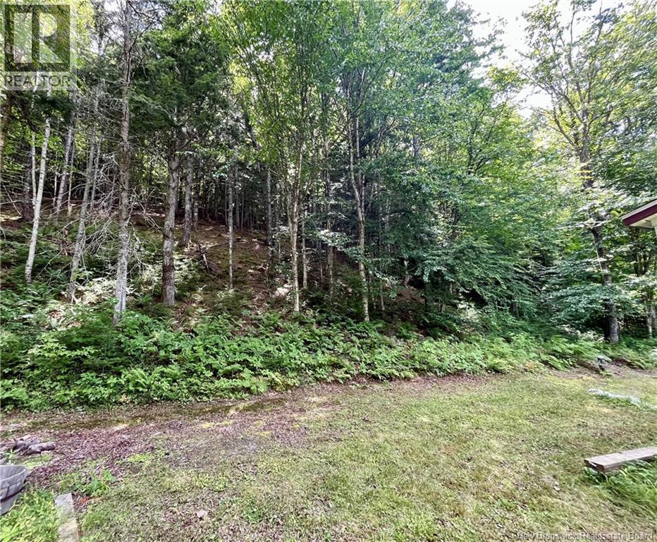 241 Route 107 Property Photo 20