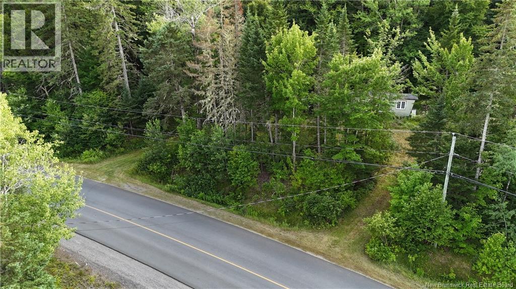 241 Route 107 Property Photo 41