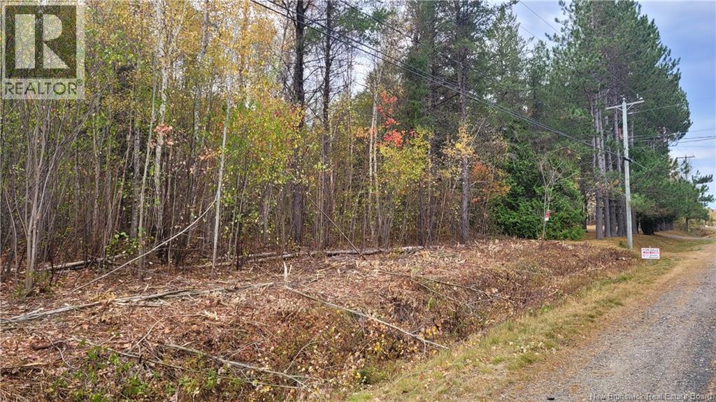 0 Rte 118 Property Photo 3