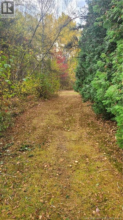 0 Rte 118 Property Photo 5