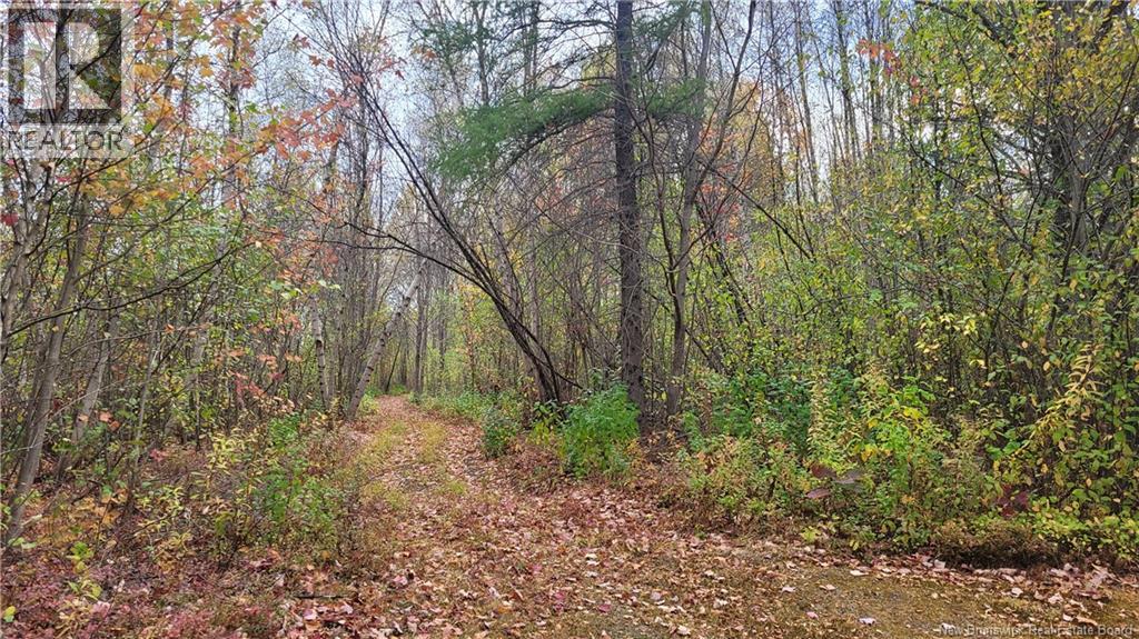 0 Rte 118 Property Photo 7