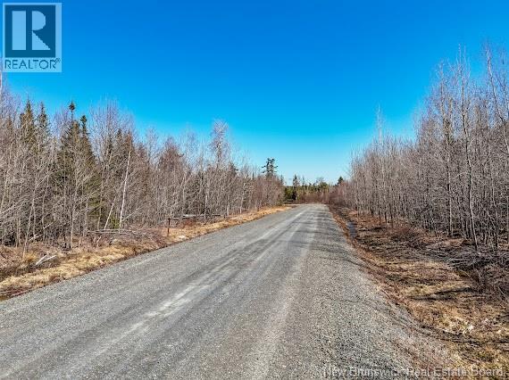 Land Distinctive Way/impressive Way Property Photo 6