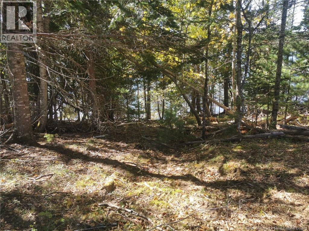 32 Moran Lane Property Photo 3